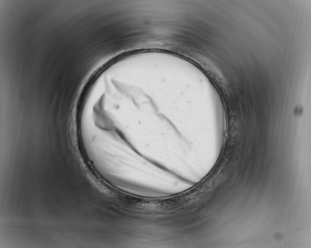 X0000102800792200809150928