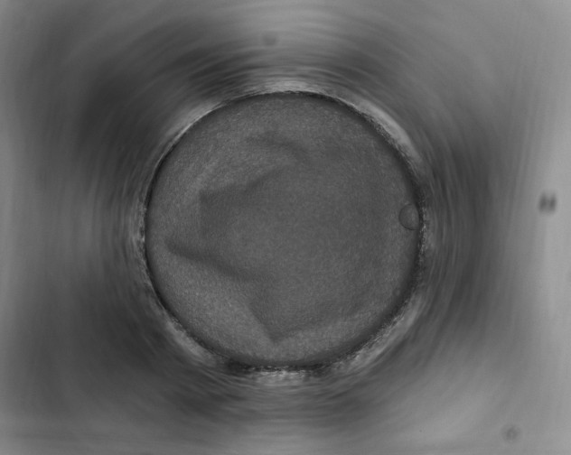 X0000102800793200809150928