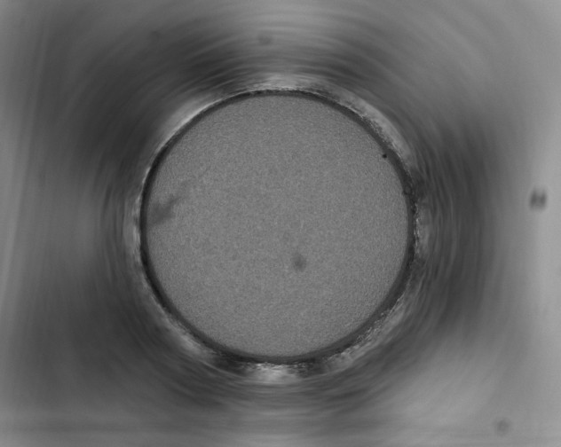 X0000102800794200809150928