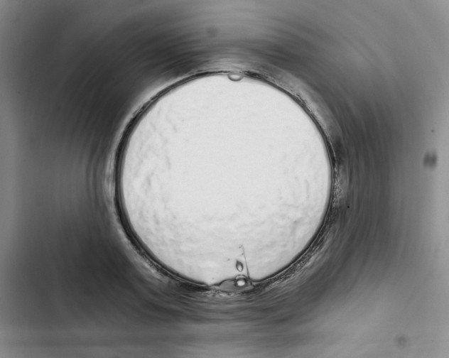 X0000102800795200809150928