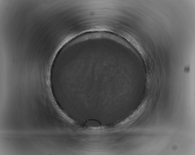 X0000102800797200809150928