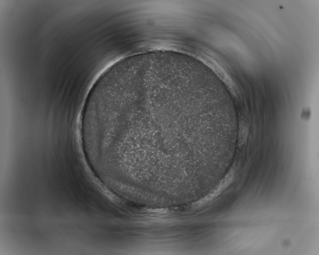 X0000102800798200809150928