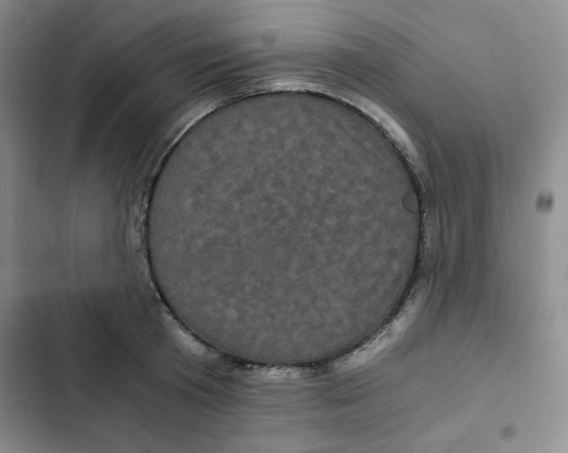 X0000102800801200809150927