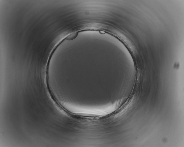 X0000102800802200809150927