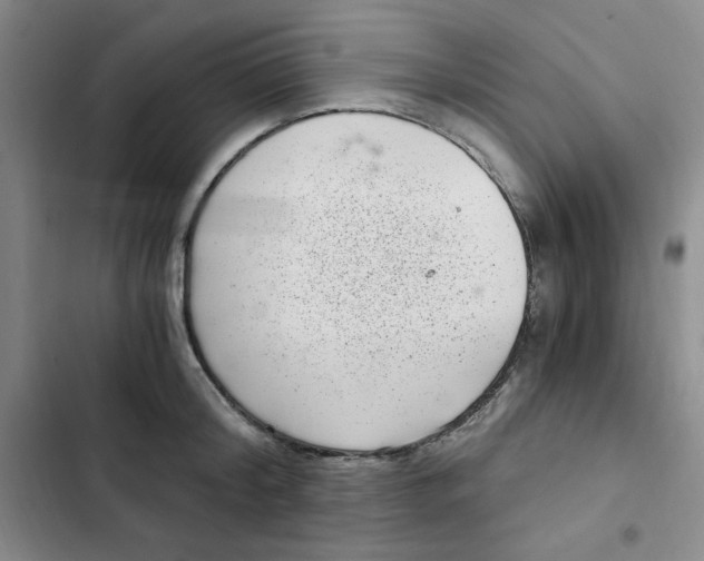 X0000102800804200809150927