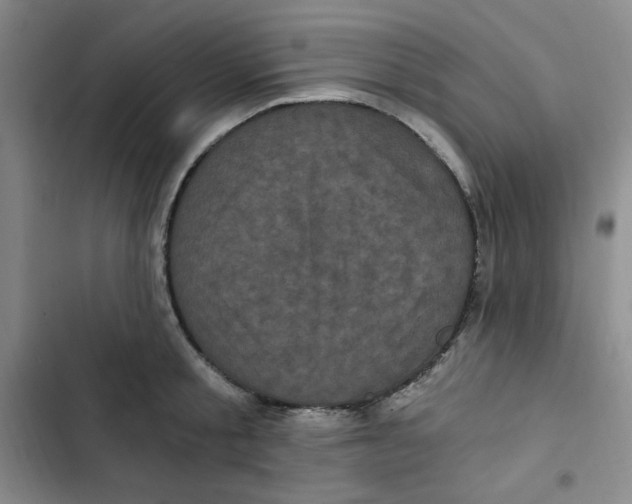 X0000102800805200809150927