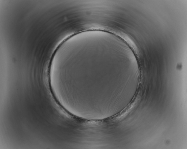 X0000102800806200809150927