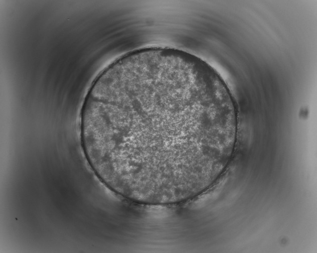 X0000102800807200809150927