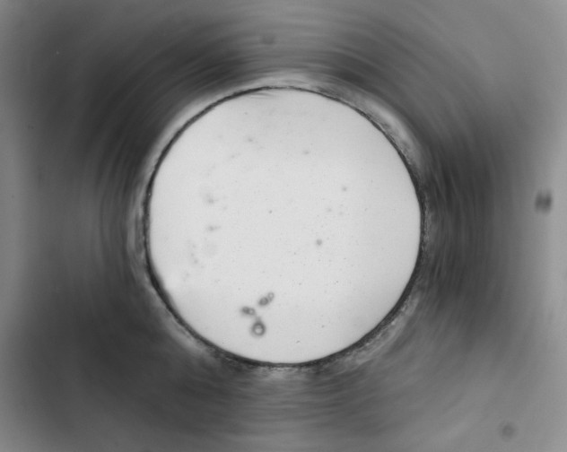 X0000102800808200809150927