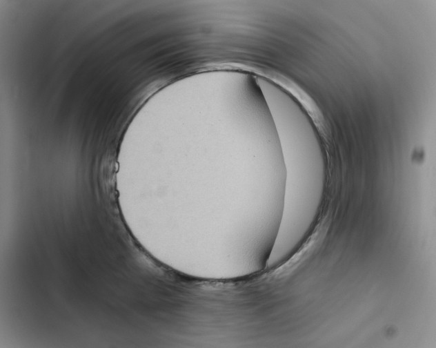 X0000102800809200809150927