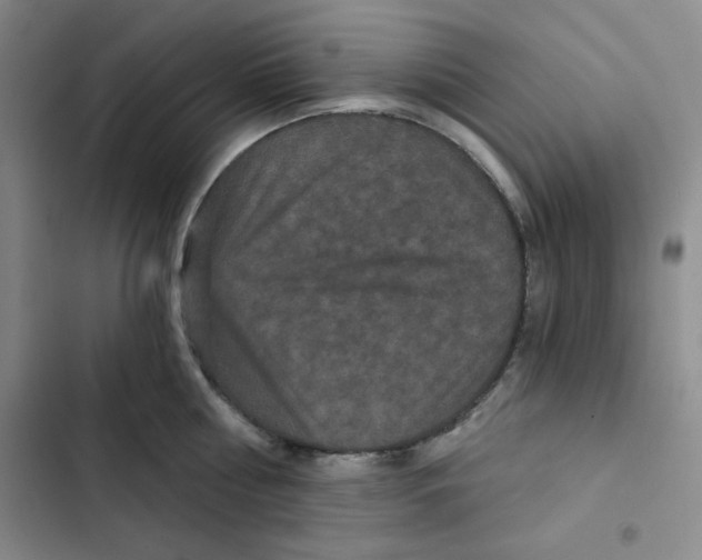 X0000102800810200809150927