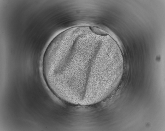 X0000102800811200809150927