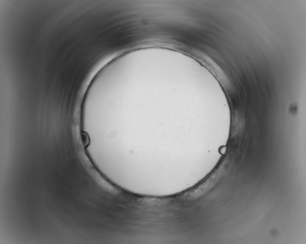 X0000102800812200809150927