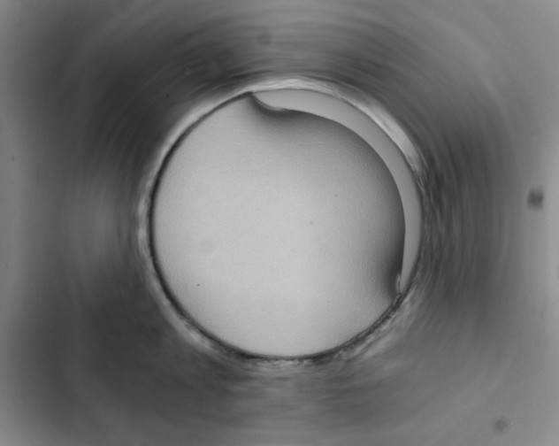 X0000102800813200809150927