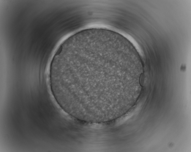 X0000102800815200809150927