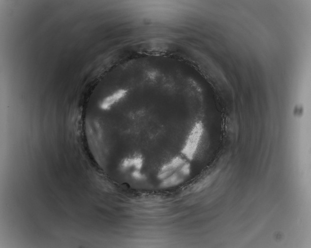 X0000102800818200809150927