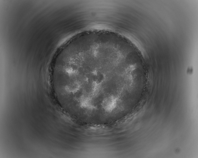 X0000102800823200809150927