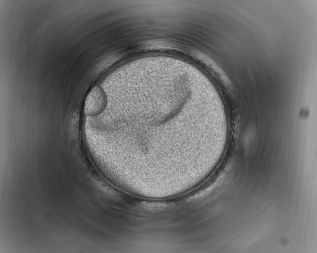 X0000102800825200809150927