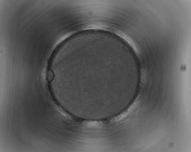 X0000102800826200809150927