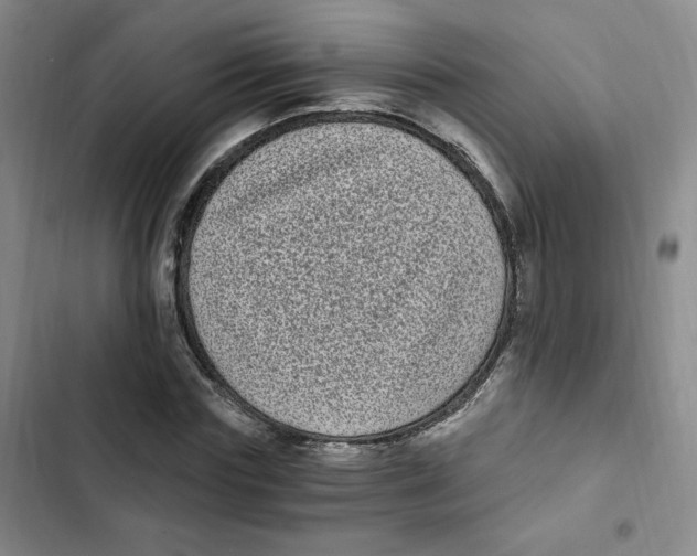 X0000102800827200809150927