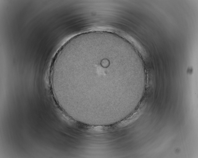 X0000102800828200809150927