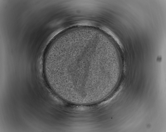 X0000102800829200809150927