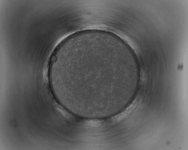 X0000102800830200809150927