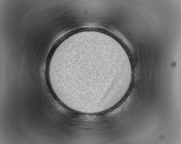 X0000102800831200809150927