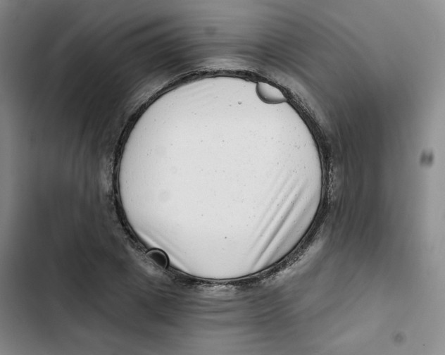 X0000102800833200809150927