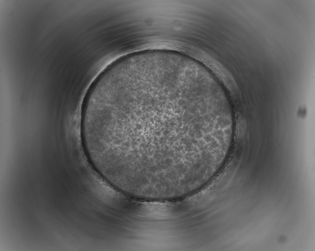 X0000102800836200809150927