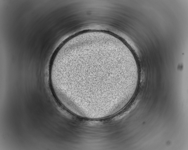 X0000102800837200809150927