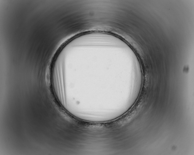 X0000102800838200809150927