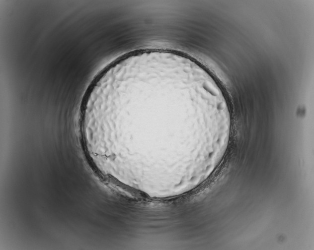 X0000102800839200809150927