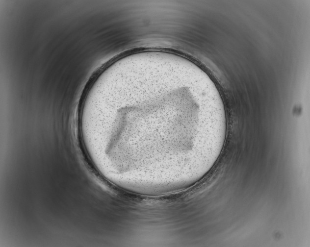 X0000102800840200809150927