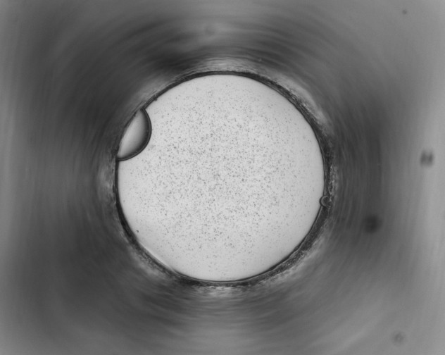 X0000102800841200809150927