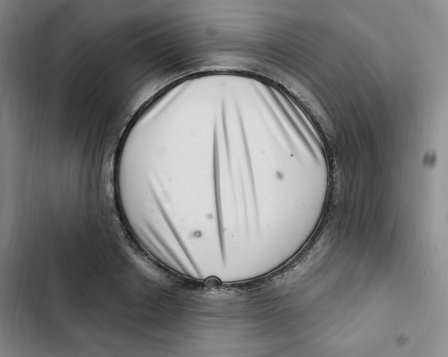 X0000102800842200809150927