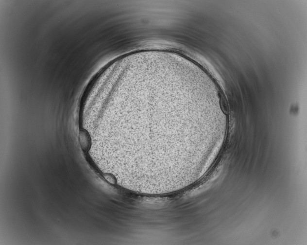 X0000102800843200809150927