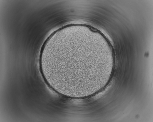 X0000102800845200809150927