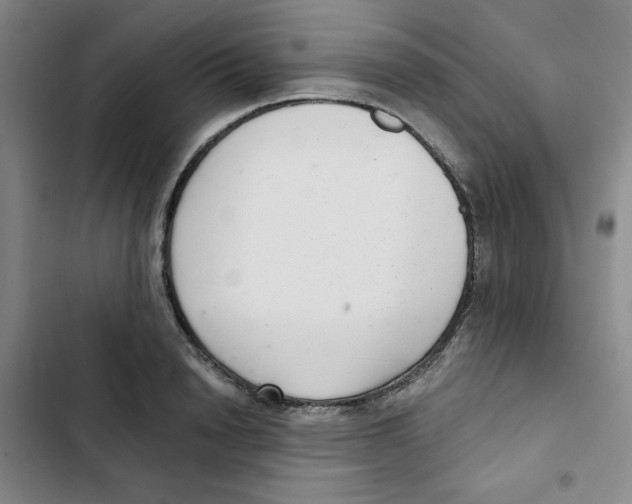 X0000102800846200809150927