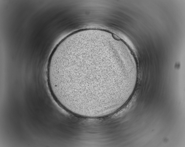 X0000102800847200809150927