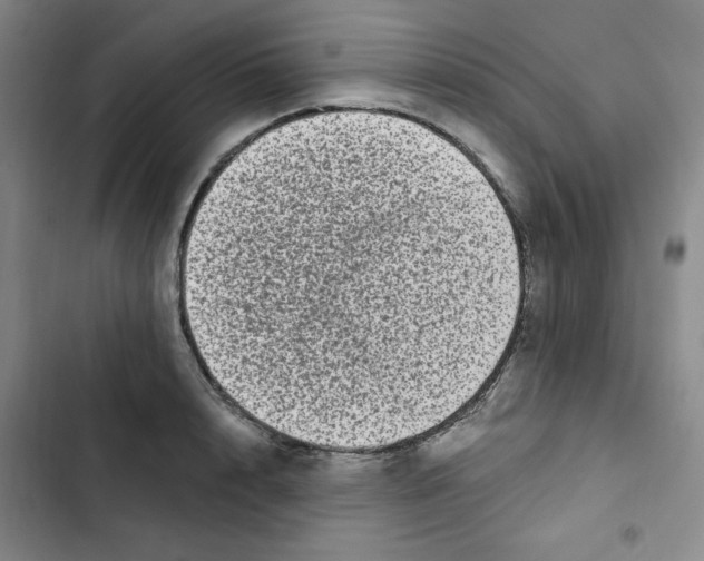 X0000102800848200809150927