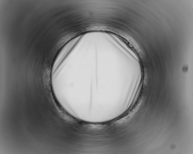 X0000102800849200809150927