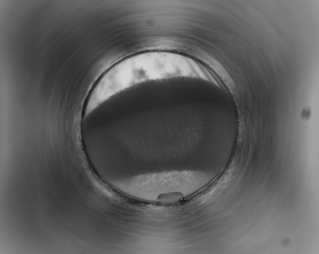 X0000102800850200809150927