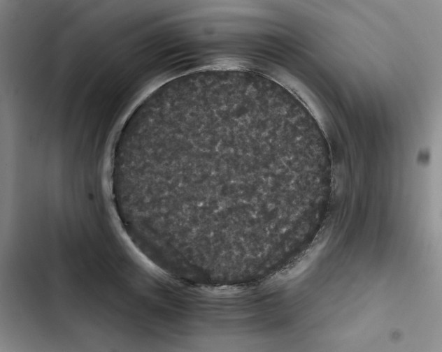 X0000102800851200809150927