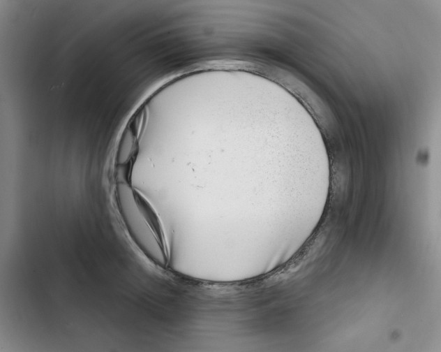 X0000102800852200809150927