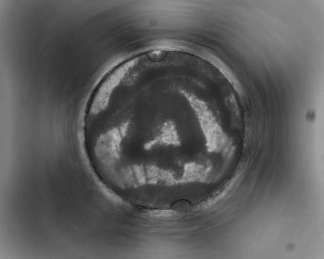 X0000102800853200809150927