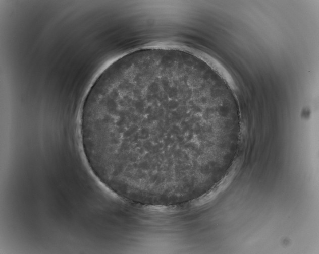 X0000102800855200809150927