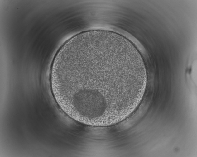 X0000102800856200809150927