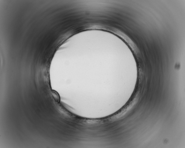 X0000102800857200809150927