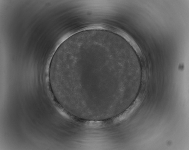 X0000102800858200809150927